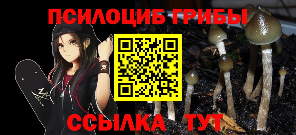 Свободный  Псилоцибиновые грибы Magic Shrooms  Псилоцибиновые грибы мухоморы  Вход с VPN 
