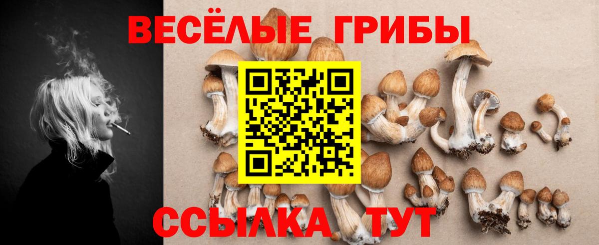 Псилоцибиновые грибы Magic Shrooms Свободный