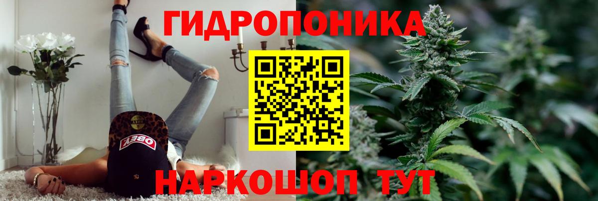Марихуана White Widow  Вход с VPN  МАРИХУАНА ГИДРОПОН  Свободный 